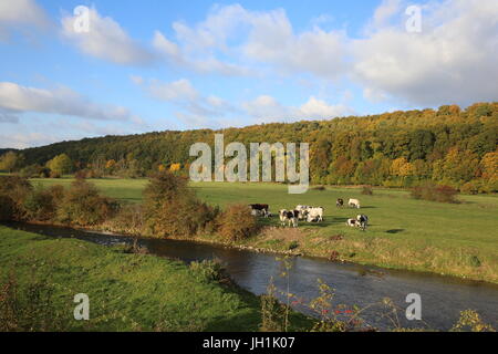 Risle valley in Champignolles, Normandy. France. Stock Photo