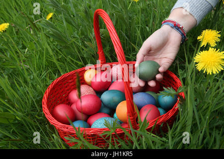 Colorful easter eggs in a basket.  France. Stock Photo