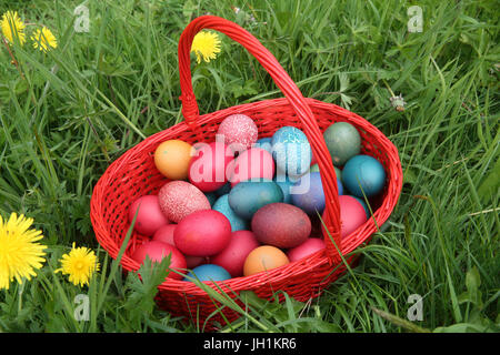 Colorful easter eggs in a basket.  France. Stock Photo
