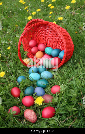 Colorful easter eggs in a basket.  France. Stock Photo