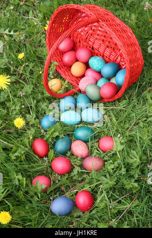 Colorful easter eggs in a basket.  France. Stock Photo