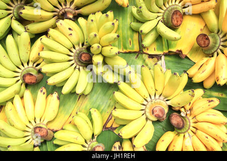 Bunches of bananas.  Thailand. Stock Photo