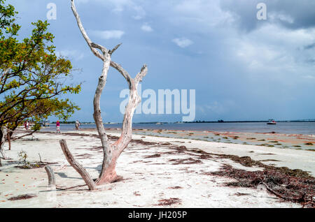 sanibel island beach Stock Photo