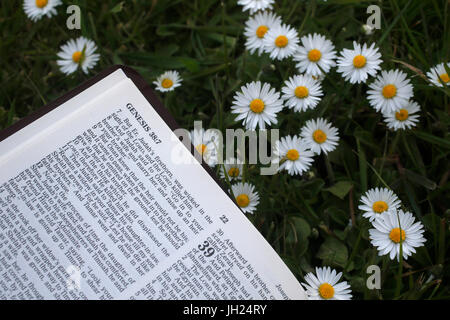 Open Bible. genesis. Stock Photo