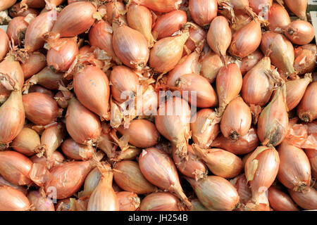 Shallots on market.  France. Stock Photo