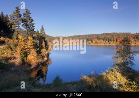 Schwarzenbach reservoir, Schwarzenbachtalsperre, near Forbach, Black Forest, Baden Wurttemberg, Germany, Europe Stock Photo