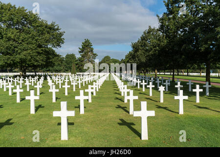 Crosses at Normandy American Cemetery and Memorial, Colleville-sur-Mer, Normandy, France, Europe Stock Photo