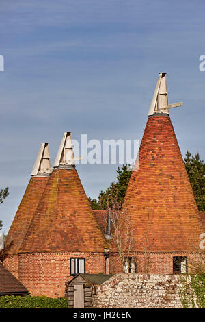 Oast houses, originally used to dry hops in beer-making, converted into farmhouse accommodation at Tudeley, Kent, England, UK Stock Photo