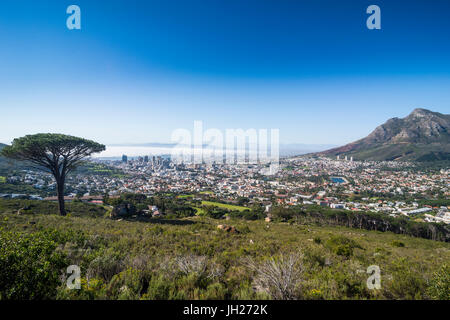 View over Cape Town, South Africa, Africa Stock Photo