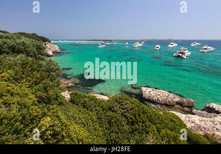 Green vegetation of the inland frames the speed boats moored in the crystal sea, Sperone, Bonifacio, South Corsica, France Stock Photo