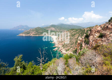 Top view of turquoise sea and sandy beach framed by green vegetation on the promontory, Porto, Southern Corsica, France
