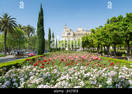 View of Jardines de Pedro Luis Alonso and Town Hall Palace (Ayuntamiento), Malaga, Costa del Sol, Andalusia, Spain, Europe Stock Photo