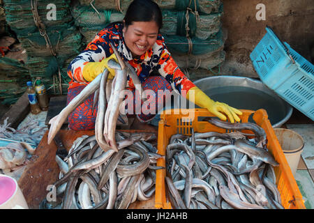 Vung Tau fish market.  Woman sort through fresh catch of fish.  Vietnam. Stock Photo