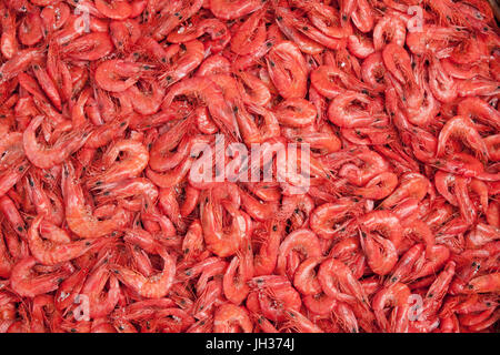 Dried and salted prawns in wicker baskets at the main market in Colombo, capital of Sri Lanka Stock Photo