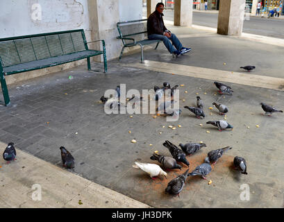 pigeons feeding man centre england york alamy