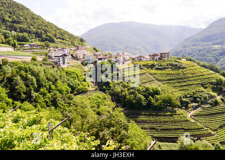 View of a village and vineyards in South Tyrol on South Tyrol in Italy Stock Photo