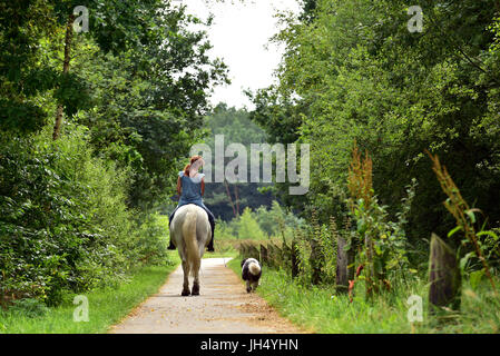 Beautiful horseback riding young woman together with her dog in the forest. Stock Photo