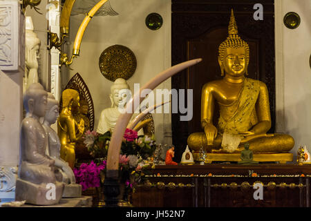 Inside a buddhist temple in Kandy, Sri Lanka Stock Photo