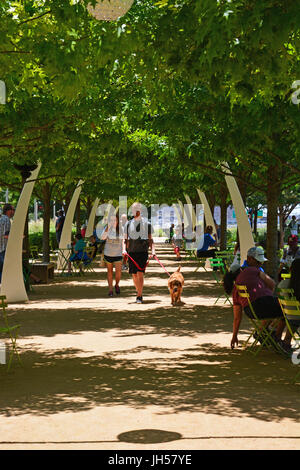 Residents escape the mid day heat under the shade of oak trees at Klyde Warren Deck Park in downtown Dallas Texas Stock Photo