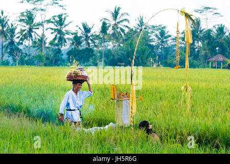 Bali, Indonesia - May 6, 2017 : Unidentified Balinese people dressed in traditional costumes fulfill religious ceremonies and offerings to the gods fo Stock Photo