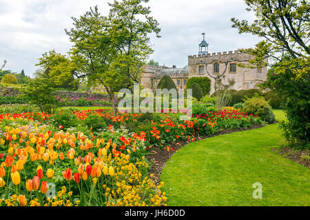 Colourful tulips at the Forde Abbey Tulip Festival, Dorset, England, UK Stock Photo