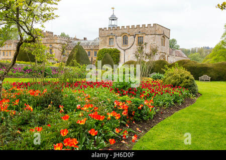 Colourful tulips at the Forde Abbey Tulip Festival, Dorset, England, UK Stock Photo