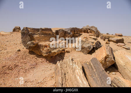 Petrified wood near El Kurru, Northern Sudan Stock Photo