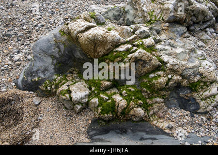 View on, or near, the public footpath in Prussia Cove, Cornwall U.K. Stock Photo