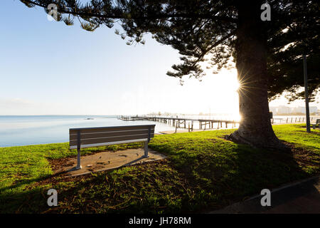 An empty park bench with a view over the sea under a beautiful tree back lit by bright sunrise light on a sparkling summer morning in Australia. Stock Photo