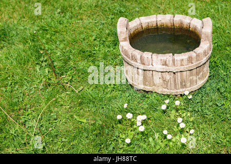 Rural  animal water drinking pot  on green grass field and white common daisy flowers Stock Photo
