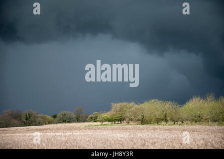 Beautiful agricultural English countryside landscape during early Spring morning Stock Photo