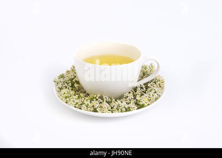 Freshly made  tea with in white porcelain teacup decorated with fresh  flowers. Stock Photo