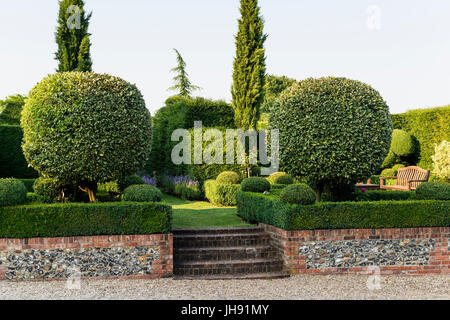 Brick wall and stairs in hedge garden Stock Photo