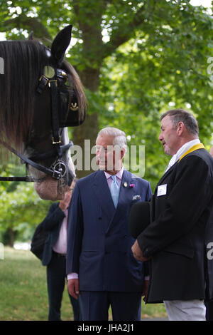 London, UK. 13th July, 2017. One of the UK’s largest conservation charities to be launched in recent years was unveiled today by its new patron, His Royal Highness The Prince of Wales.  Pictured here His Royal Highness with Shire Horses within the park, part of the conservation of the heritage and community. During a visit to London’s Hyde Park, the Prince formally launched The Royal Parks charity, which supports and manages 5,000 acres of Royal Parks stretching from Greenwich Park in the east to Bushy Park in the west. ound R Credit: Jeff Gilbert/Alamy Live News Stock Photo
