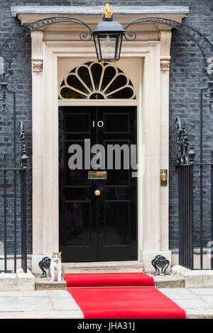London, United Kingdom Of Great Britain And Northern Ireland. 13th July, 2017. Larry, the cat of No. 10 Downing Street. London, UK. 13/07/2017 | usage worldwide Credit: dpa/Alamy Live News Stock Photo