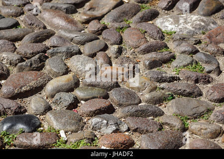 Pebble stone floor tile In perspective with focus selection Stock Photo