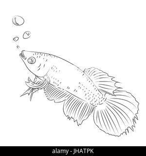 Hand drawn sketch of Fight Fish Cartoon isolated, Black and White Cartoon Vector Illustration for Coloring Book - Line Drawn Vector Stock Vector