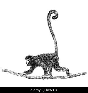 Hand drawn sketch of Gibbon Cartoon isolated, Black and White Cartoon Vector Illustration for Coloring Book - Line Drawn Vector Stock Vector