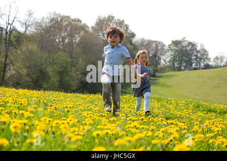Little boy and his sister are running through a field of dandelions together. Stock Photo