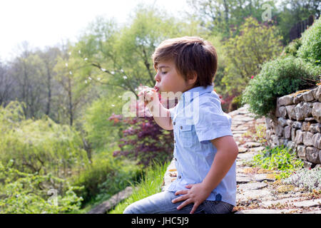 Little boy is sitting on a stone wall in the countryside . He is holding a dandelion and is blowing the seeds away. Stock Photo