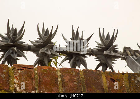 Anti wall climbing spinners with sharp barbs on the top of a brick wall to deter intruders and burglars Stock Photo