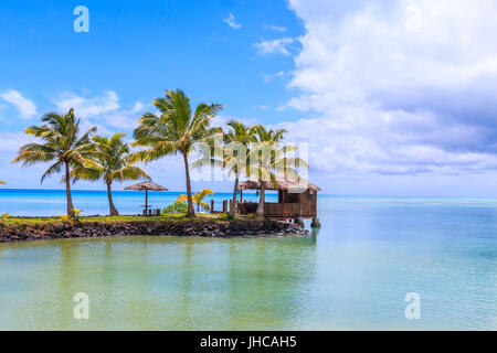 Samoa Island.Tropical beach on Samoa Island with palm trees. Stock Photo