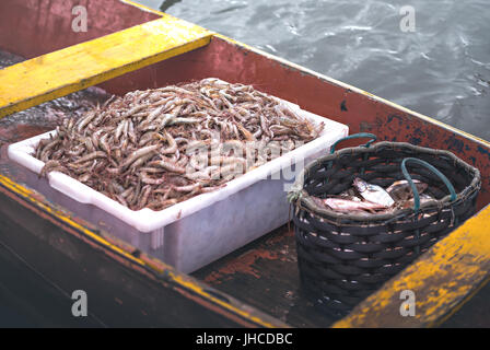 Fish basket brazil hi-res stock photography and images - Alamy