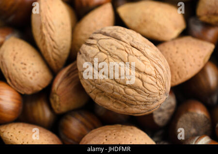 Overhead shot of a selection of whole, mixed nuts in  shells.  Main focus on walnut, with almonds and chestnuts in soft focus below. Stock Photo