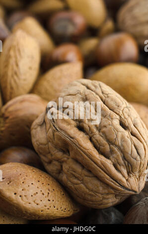 Mixed selection of nuts in shells, includes almonds, chestnuts and a large walnut in foreground. Stock Photo