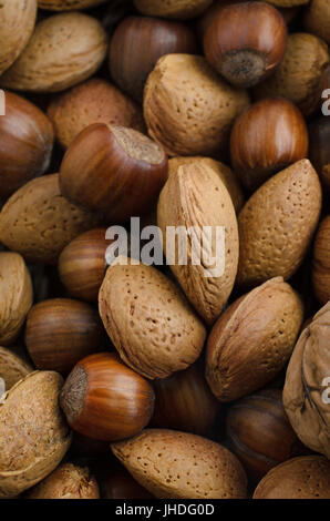 Overhead view of a selection of mixed nuts in their shells. Includes almonds, chestnuts and walnut. Stock Photo