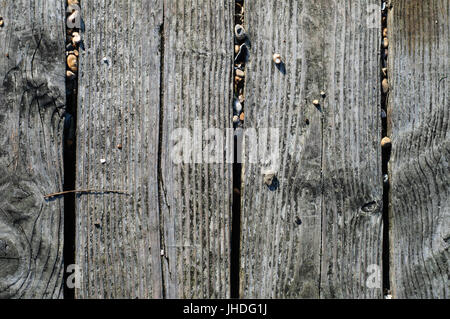 Close up of old weathered planks from beach boardwalk with gaps between and scattered, fallen stones and pebbles. Stock Photo