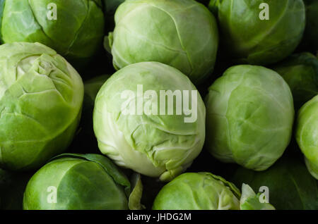 Overhead shot of multiple brussel sprouts, piled together and filling frame. Stock Photo