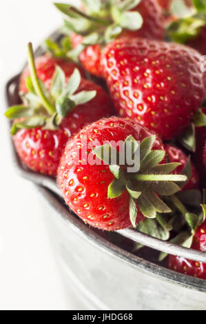 Elevated, angled close up view of fresh ripe strawberries with leaves and stalks, piled high in a metal pail (bucket).