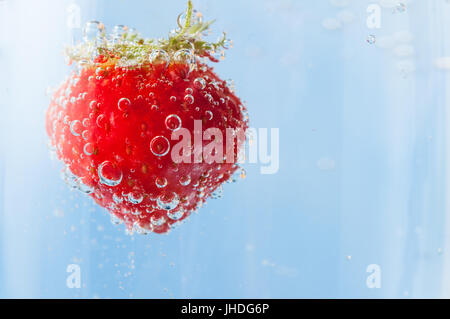 Close up of a bright red fresh strawberry with green leaves, flloating in light blue sparkling water and covered in bubbles. Copy space to right. Stock Photo